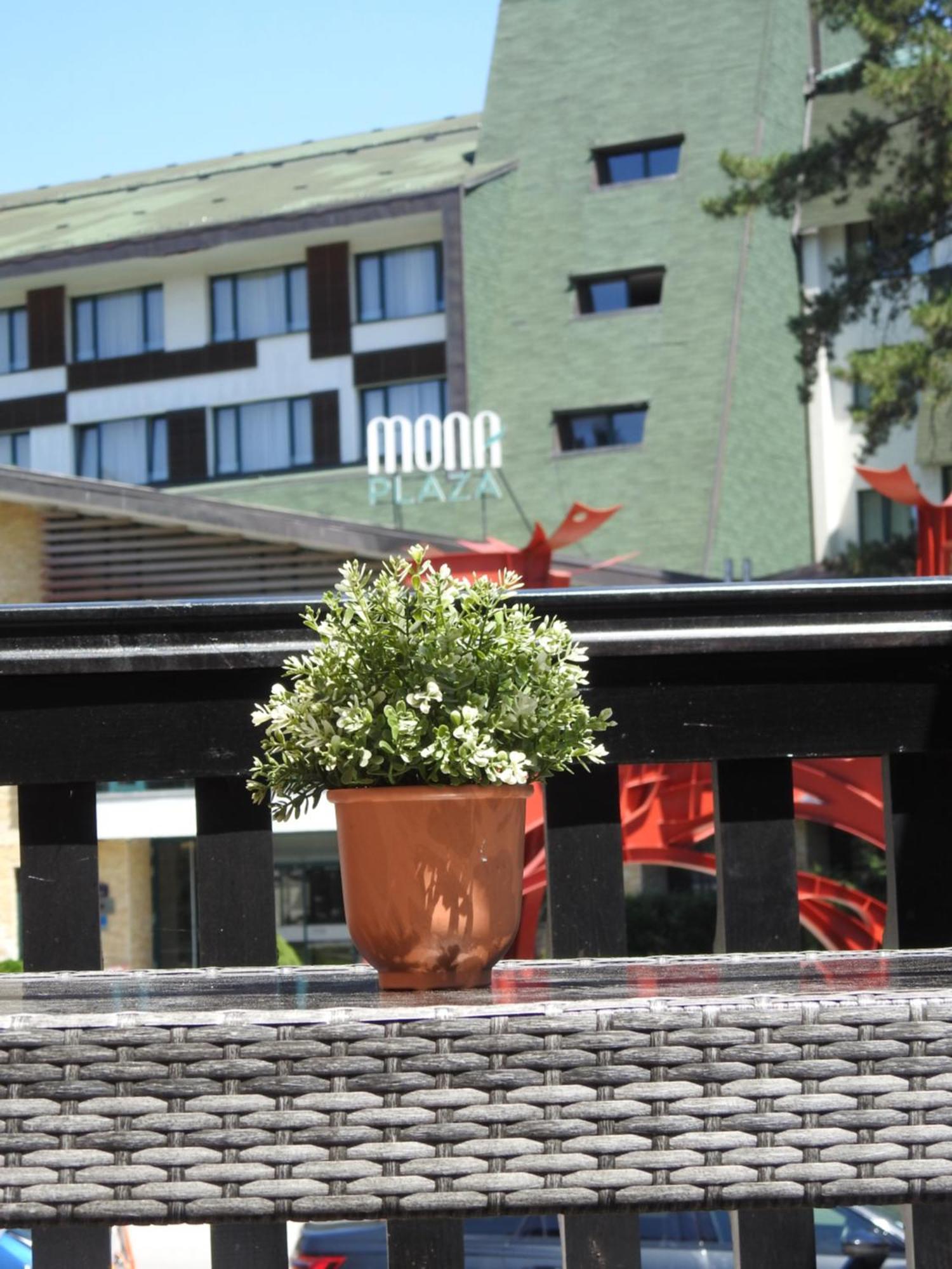 Apartman Ogi Zlatibor Exteriör bild